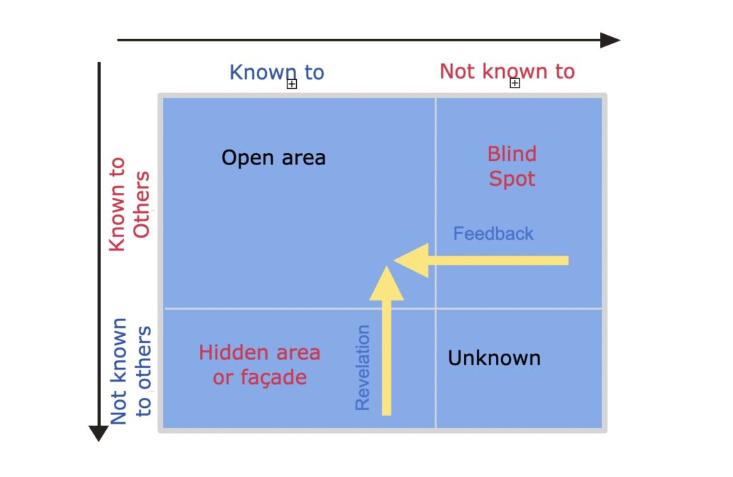 johari window